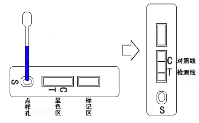 5d148c2f68b2e.png 5d148c2f68b2e.png