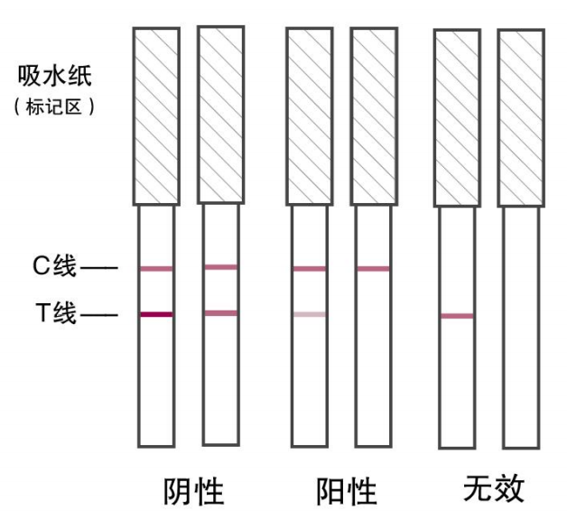 63e5dac0ed592.png 63e5dac0ed592.png